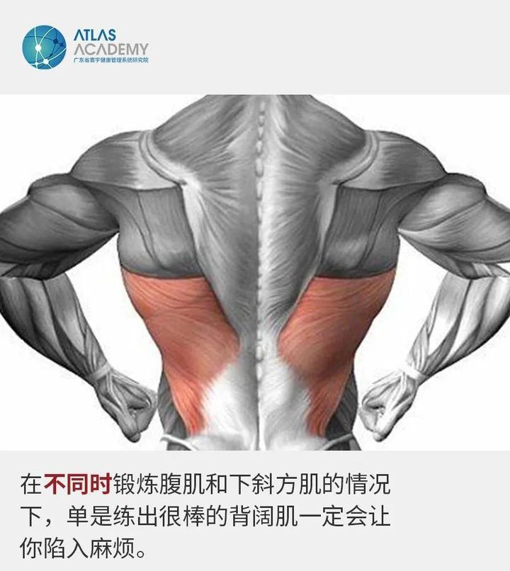 背阔肌:是敌是友?小心被背刺! - 知乎