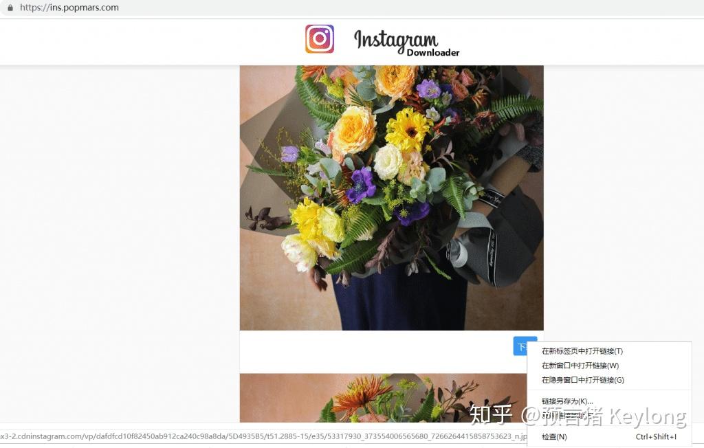 如何下載保存instagram裡的視頻和快拍story呢