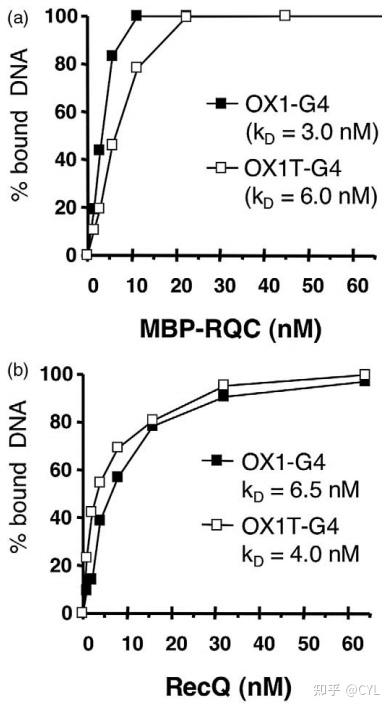 【文献翻译】RecQ家族解旋酶中一个保守的G4 DNA结合域 - 知乎