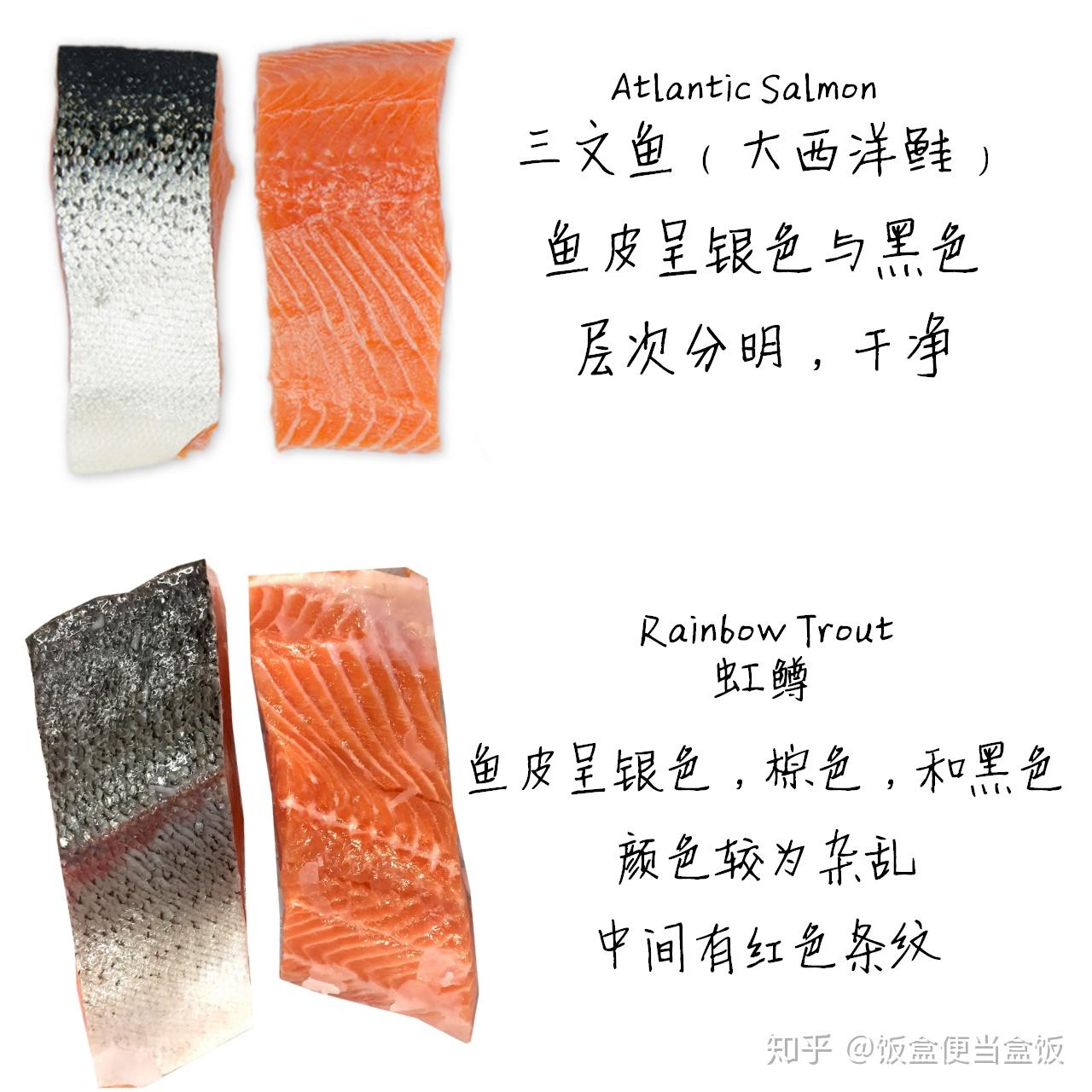 如何鉴别大西洋鲑和虹鳟