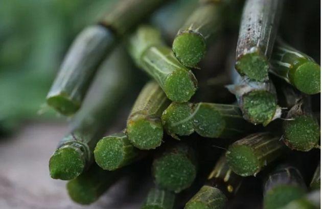 v2-6d39369034455da87d703b3f47483a19_1440w.jpg?source=172ae18b