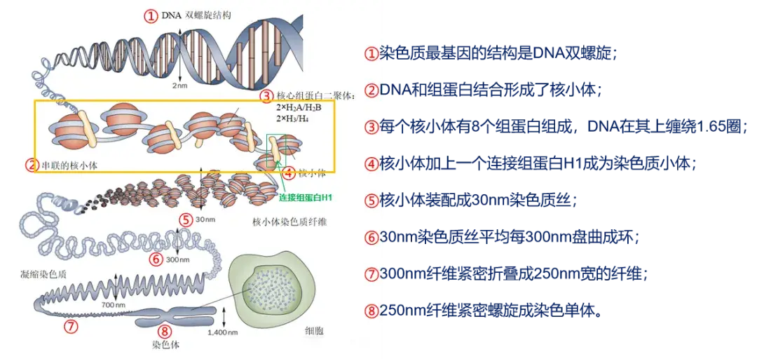 一次过瘾,你想要的ATAC这里都有 - 知乎