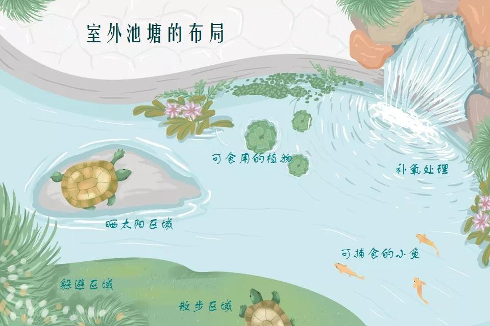 v2-6d3fb5f8bb25ac12487d077e18d358f8_1200x500.jpg