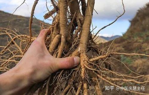 解脲支原体阳性,根在湿邪!健脾化湿止带,内服外熏,轻松转阴 - 知乎