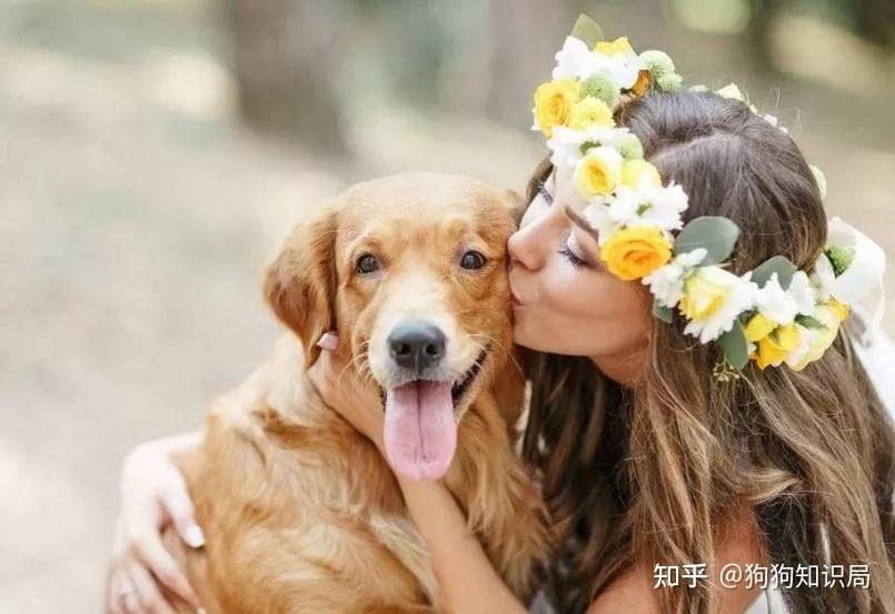 老人常言:"养狗养10年,必定长成精",这是什么意思? - 知乎