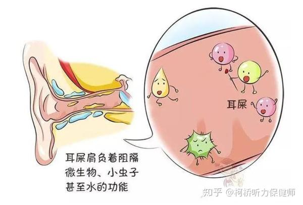 孩子油耳朵是不是比較容易得中耳炎?