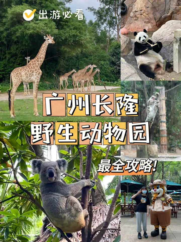 超实用广东广州旅游攻略 - 知乎
