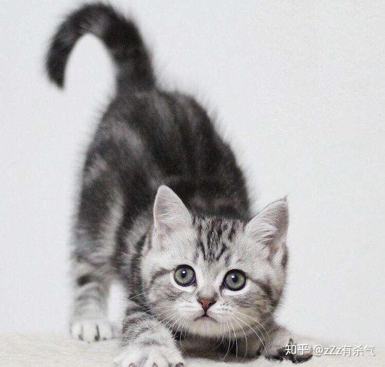 麻烦万能的知友了!