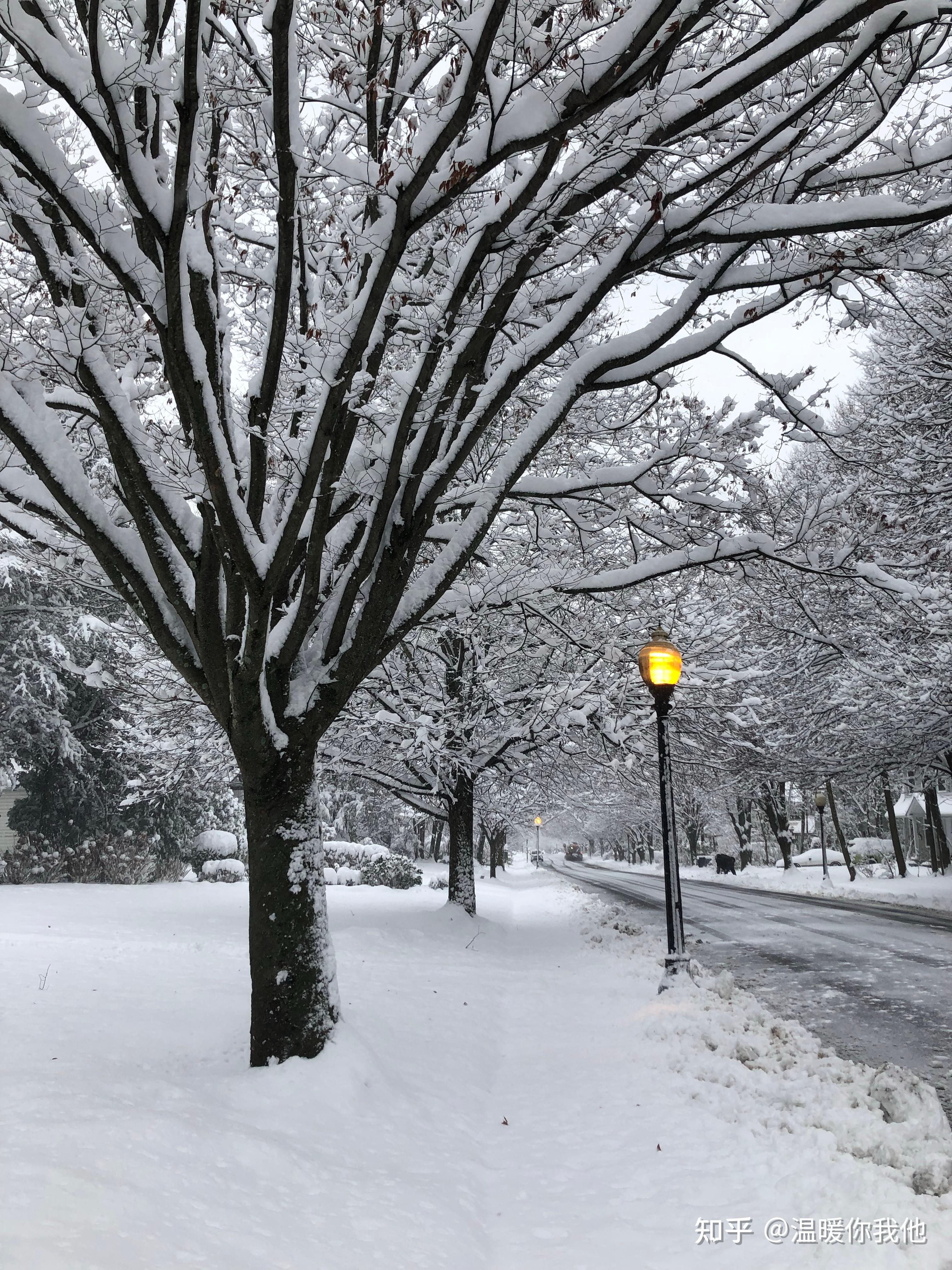 你经历的城市雪景中哪里最让人印象深刻