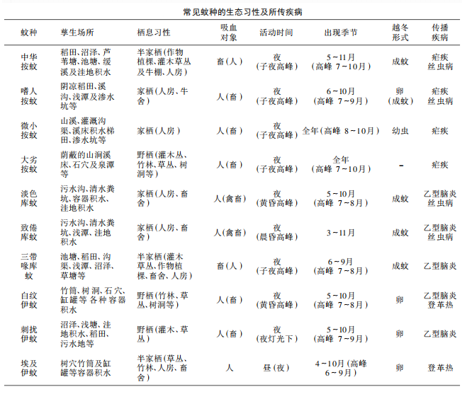 蚊子界的三大巨头伊蚊