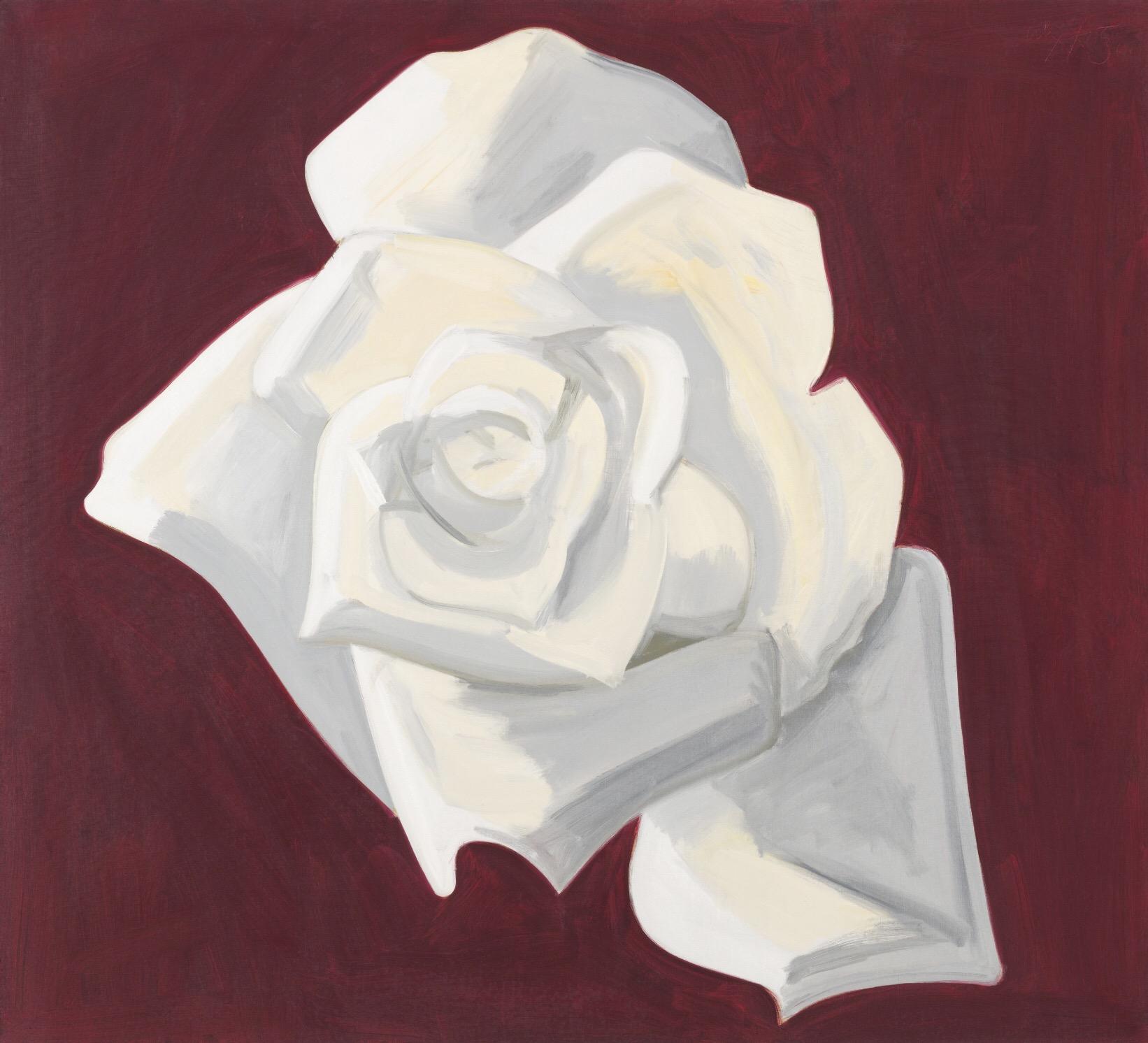 有哪些你看过一眼就难以忘怀的图片