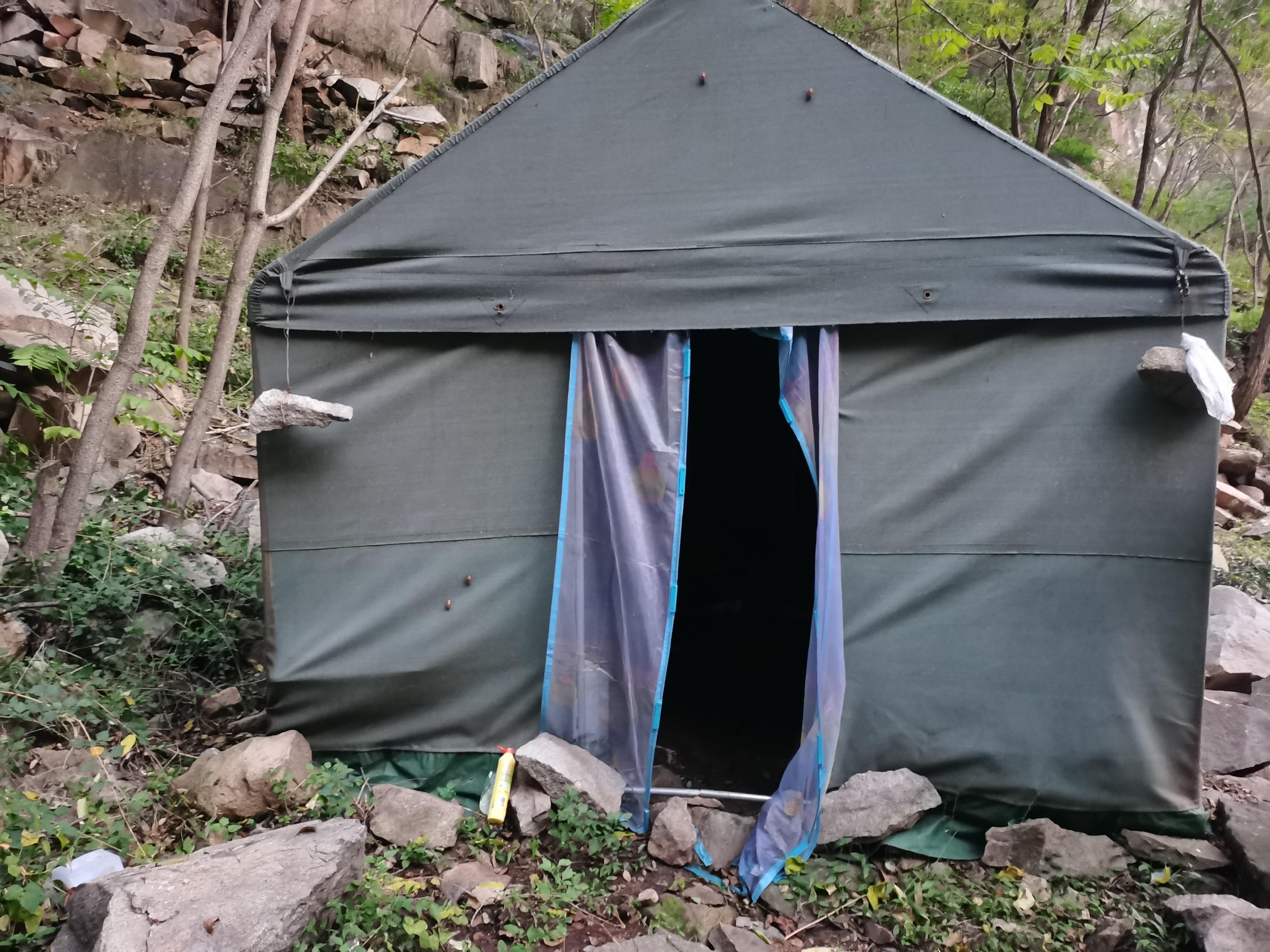 2021大泰山心之所向姜美人情之所至