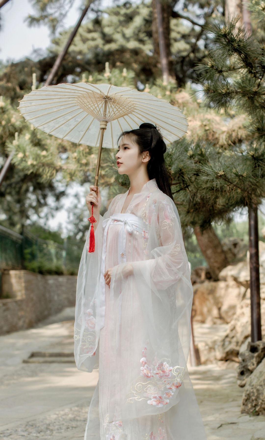 求一波诸葛大力成果古装壁纸