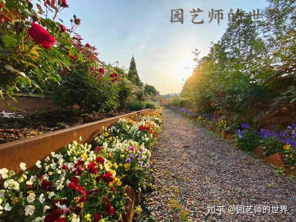 中国花园的魅力 知乎