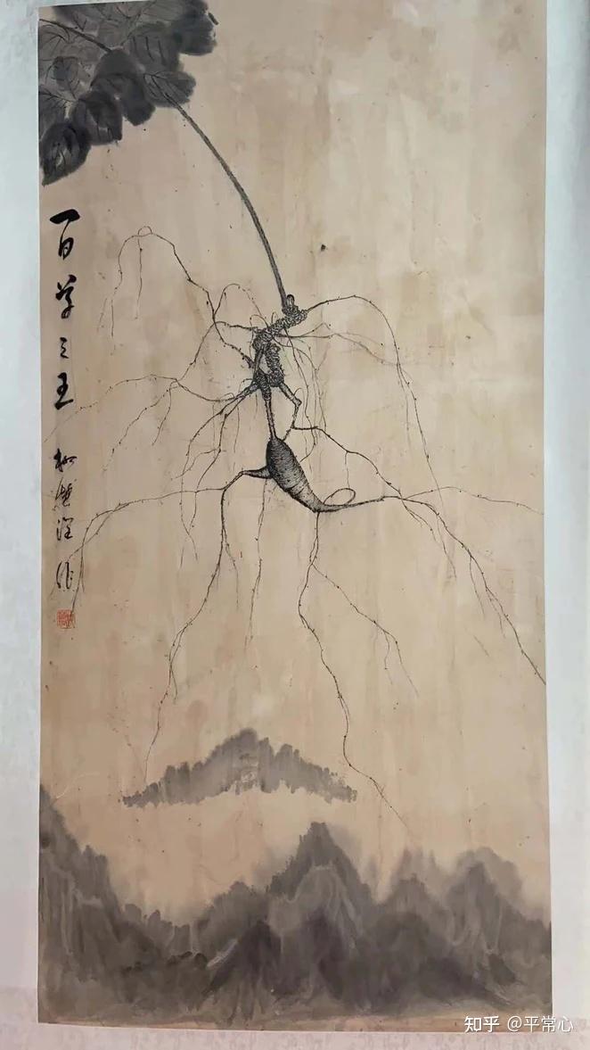 野生人参纯度鉴别