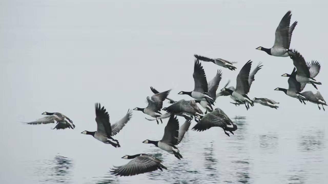 什么工作可以经常出差?