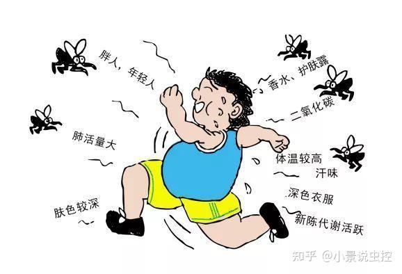 图源:网络蚊子之所以会叮人,是由于人和动物的血液里含有使得蚊卵成熟