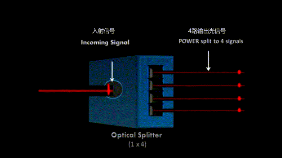 一文读懂分光器知识(全)建议收藏! - 知乎