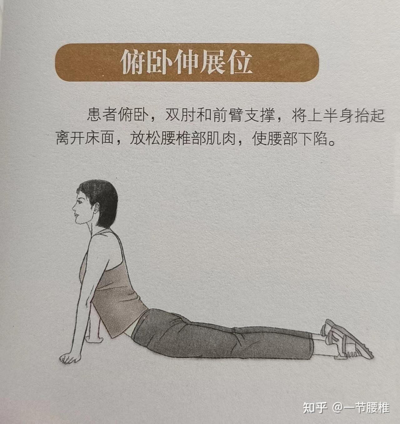 屈膝俯卧位图片