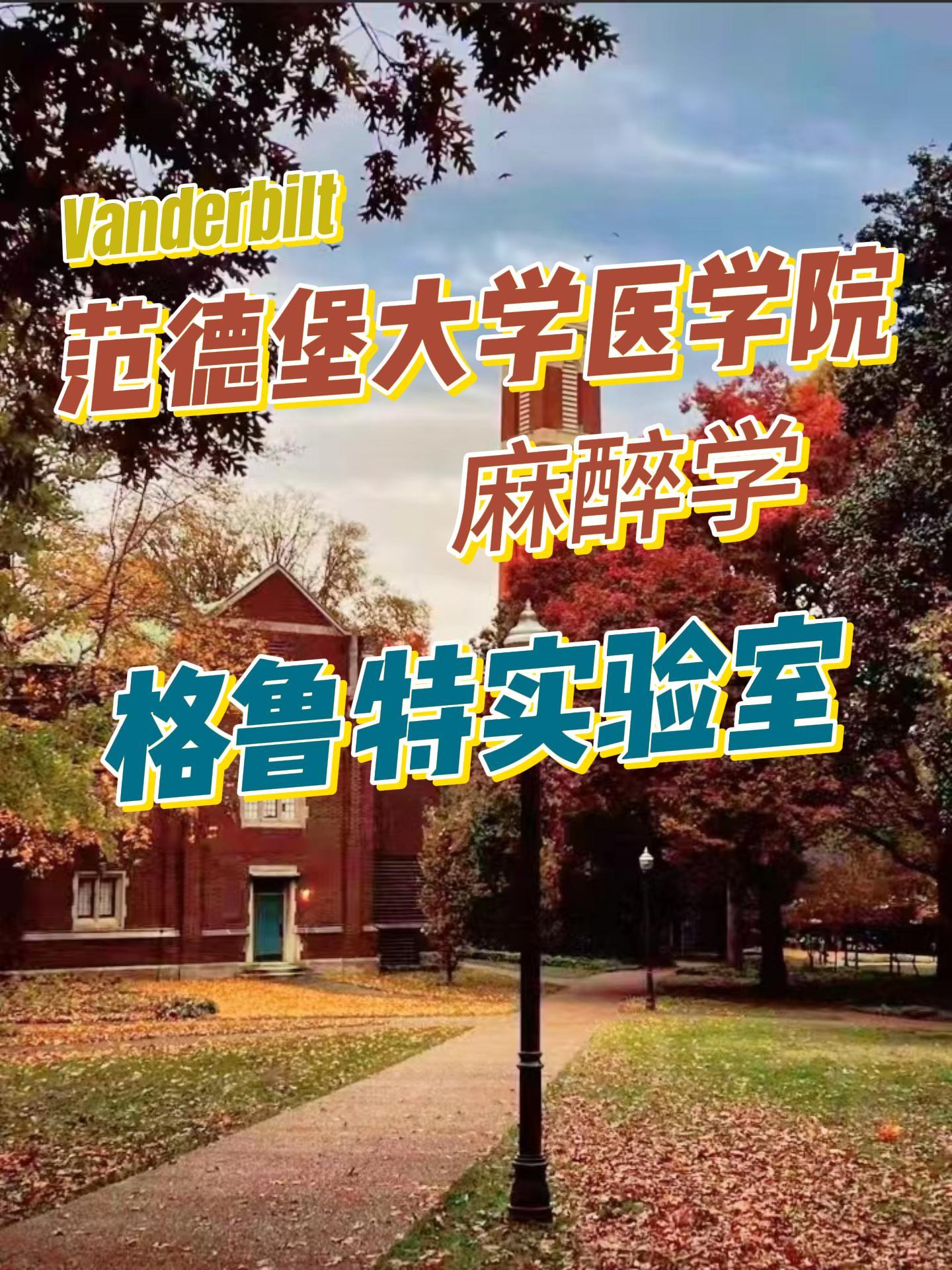 在范德堡大学(vanderbilt university)就读是怎样一番体验?