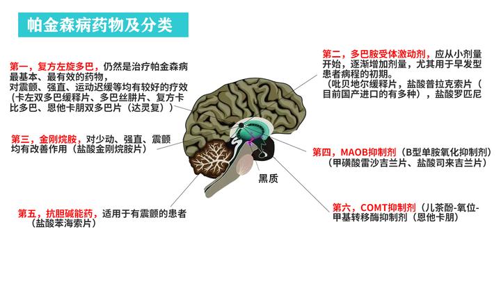 【用药指南】帕金森病常用药物的分类及用药指导 - 知乎