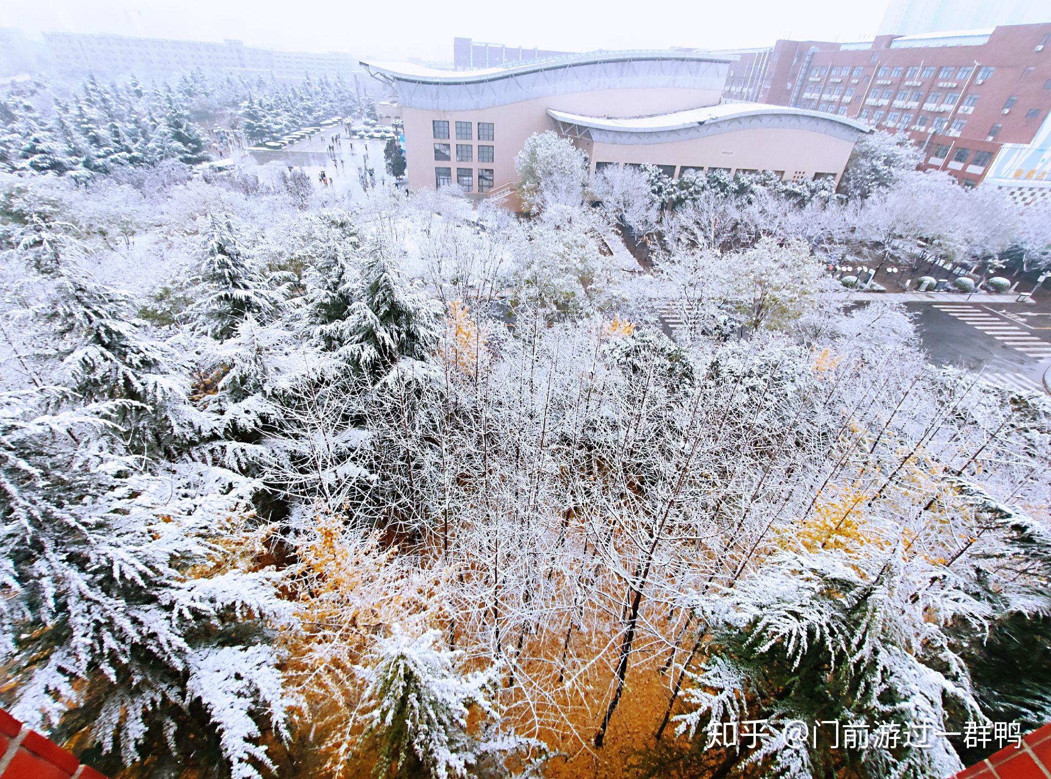 盆什么不成语_成语故事图片(3)