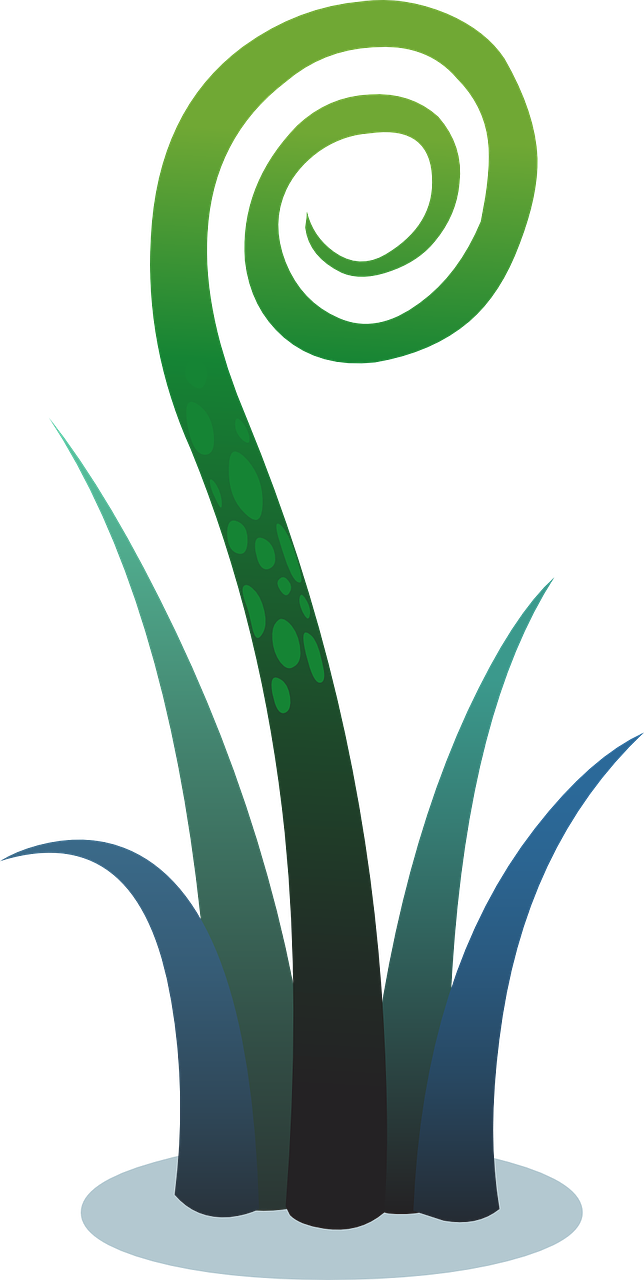 植物叶子卷曲什么原因