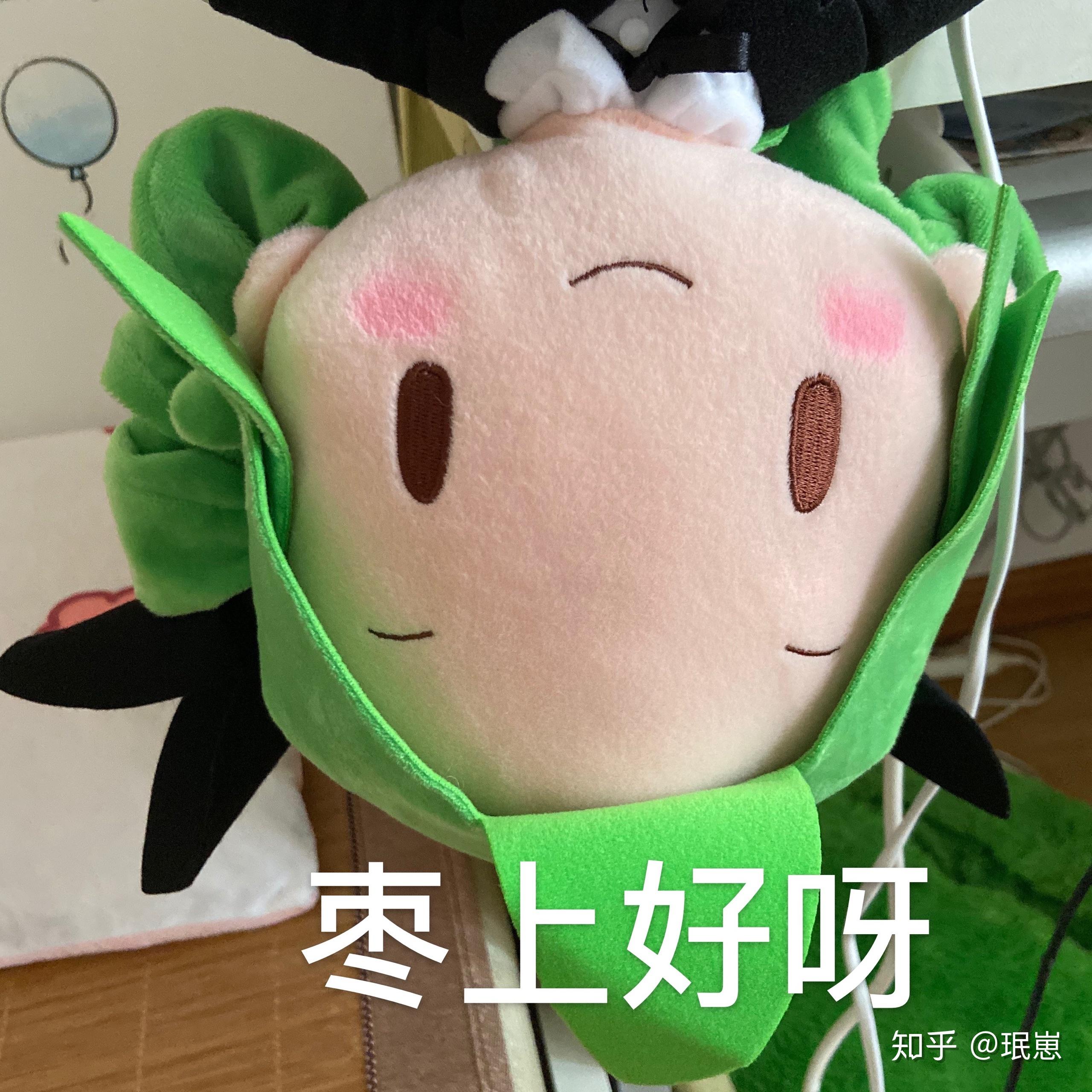 问问你们有没有v家表情包