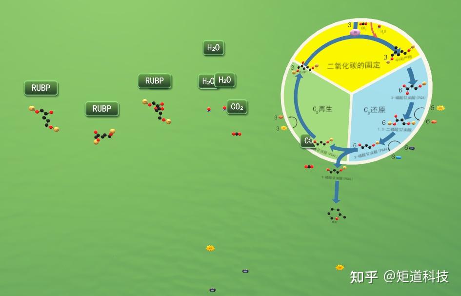 【高考】生物高考真题解析——光合作用专题 - 知乎