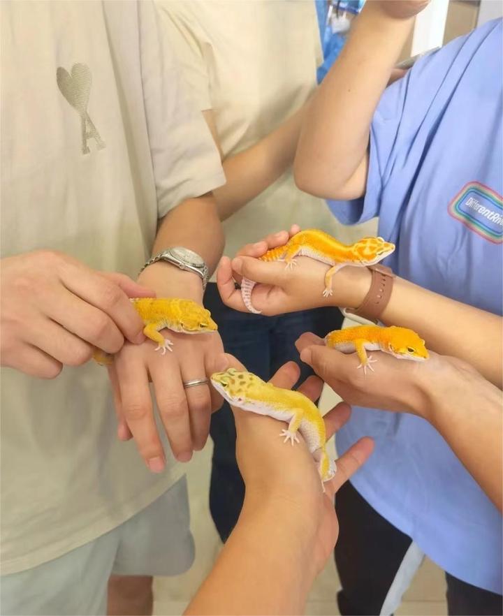 养异宠是一种什么样的体验?用热像仪探秘异宠圈! - 知乎