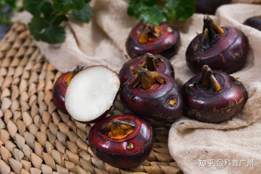 这种东西竟不能生吃!很多广东人从小吃到大 - 知乎