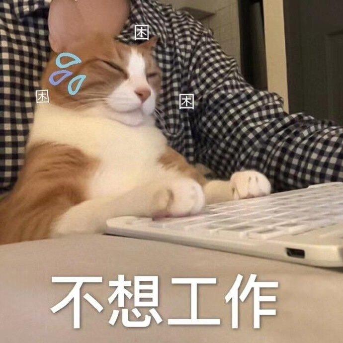 沙雕有道理文案,沙雕又有道理的句子