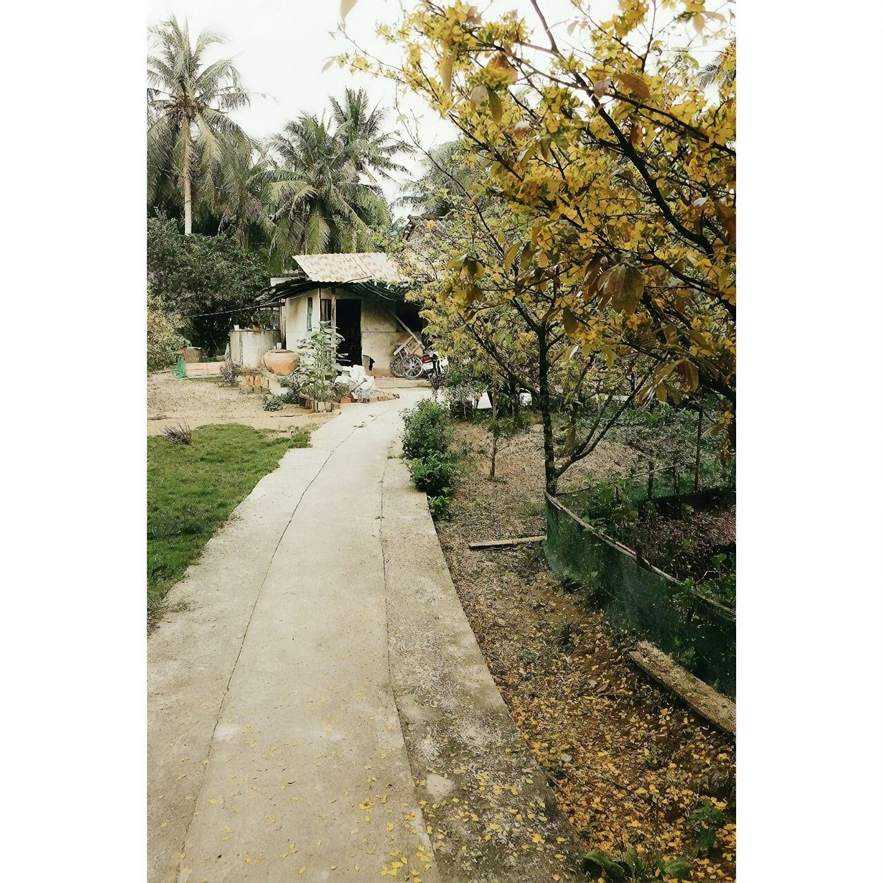 春风家园什么时候交房