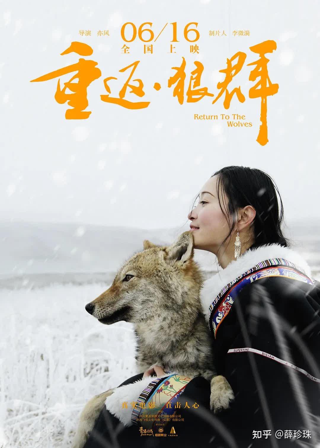 “狼妈”李微漪和狼王格林的故事是一个格林童话 - 知乎