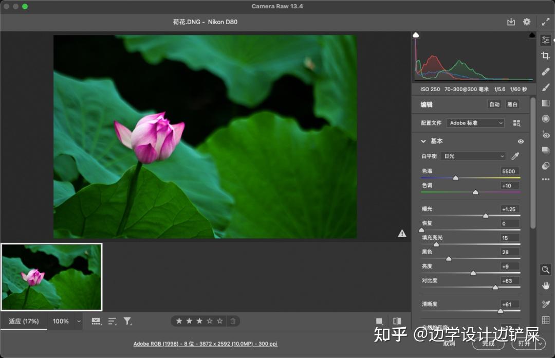 打开图像到cameraraw
