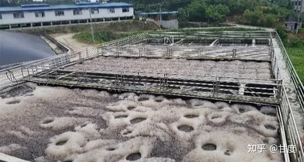 通过SV30判断活性污泥法工艺运行 - 知乎