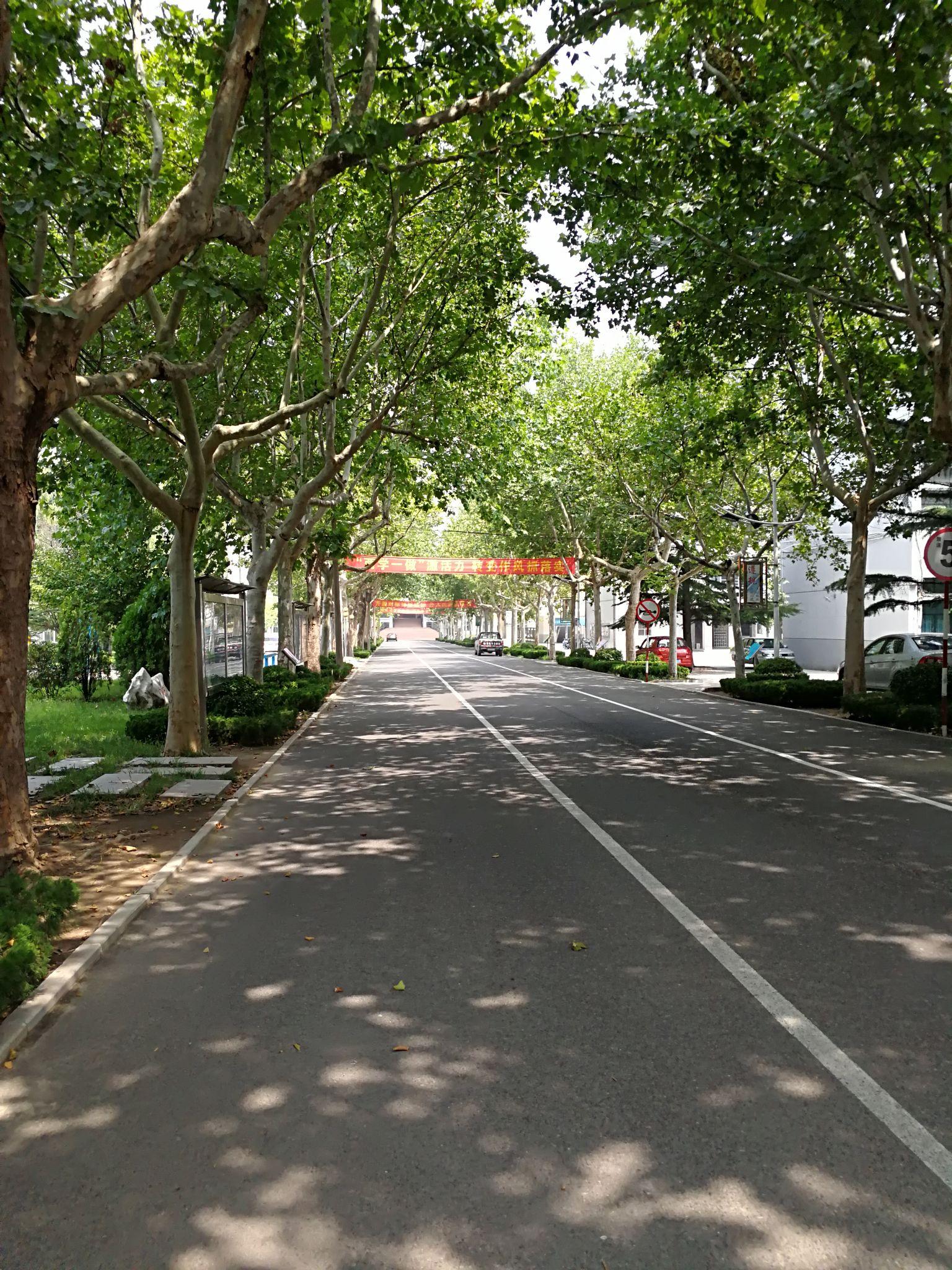 在高密一中是一种什么体验