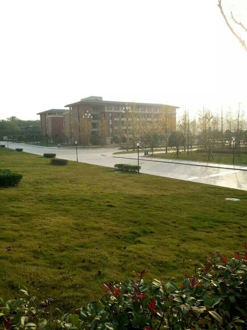 2017年四川高考文科423有什么成都的专科学校