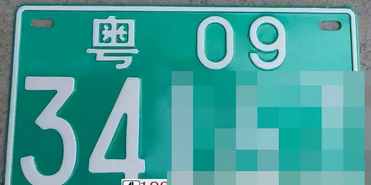 绿色车牌蓝底白字,是最普遍的一种.