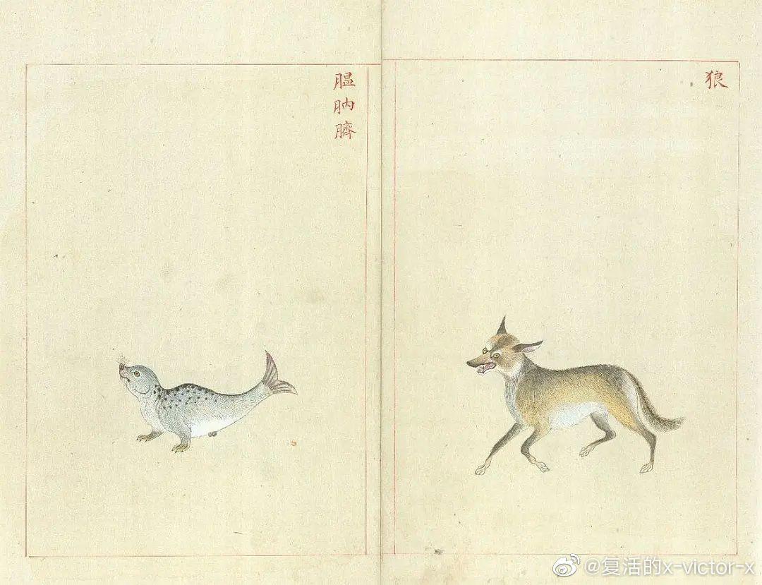 为什么浮世绘上的老虎长的和妖怪一样? - 知乎