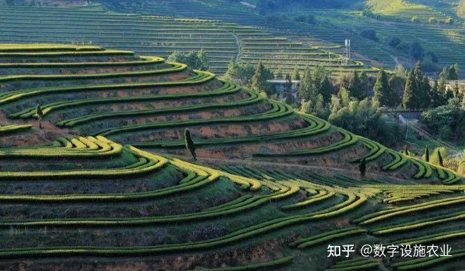 《农业 4.0:开启现代农业新纪元》 - 知乎