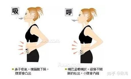 丹田的正确位置 “丹田”的位置怎么找 丹田练气法简单吗 - 知乎