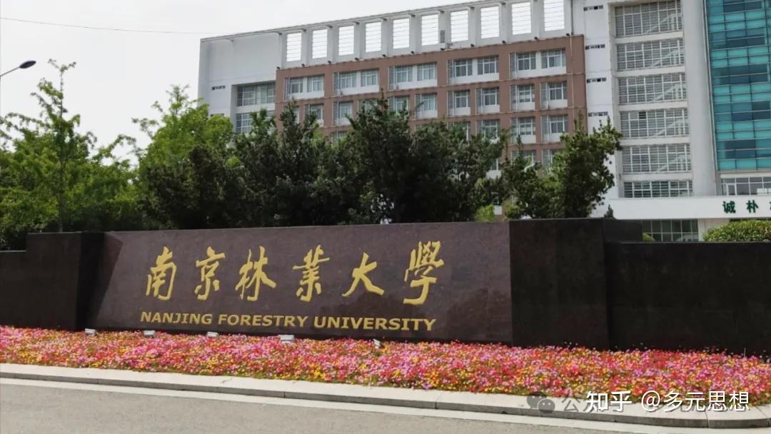 南林大38岁副教授自杀与美国高校的教授终身制.
