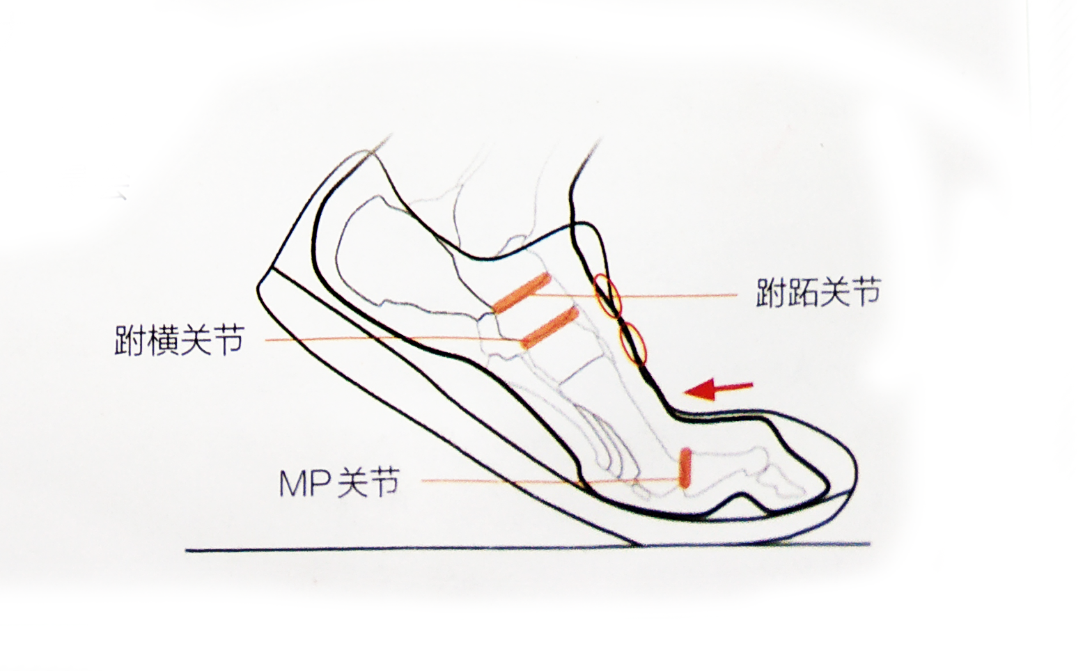 作为一个跑者你真的会绑鞋带吗