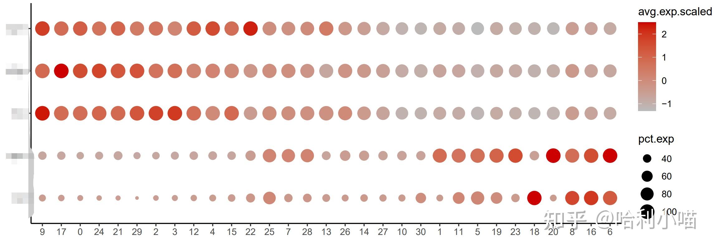  dotplot cluster 