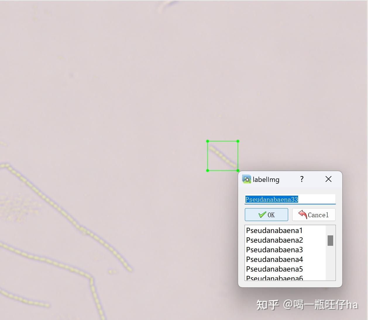 Anaconda pip install labelimg labelimg predefined classes txt