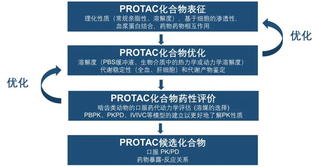 PROTAC技术研发现状及DMPK研究策略概述 - 知乎