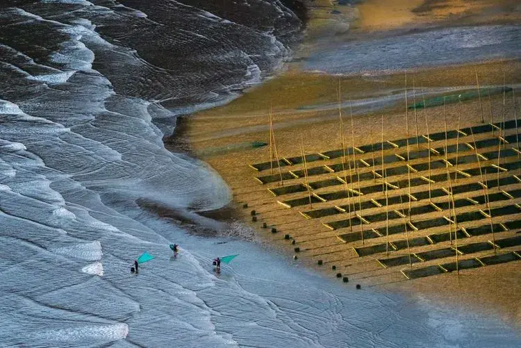 逆光下拍摄这片滩涂时,镜头中那一条条从沙滩上流淌过的溪水,化作蜿蜒