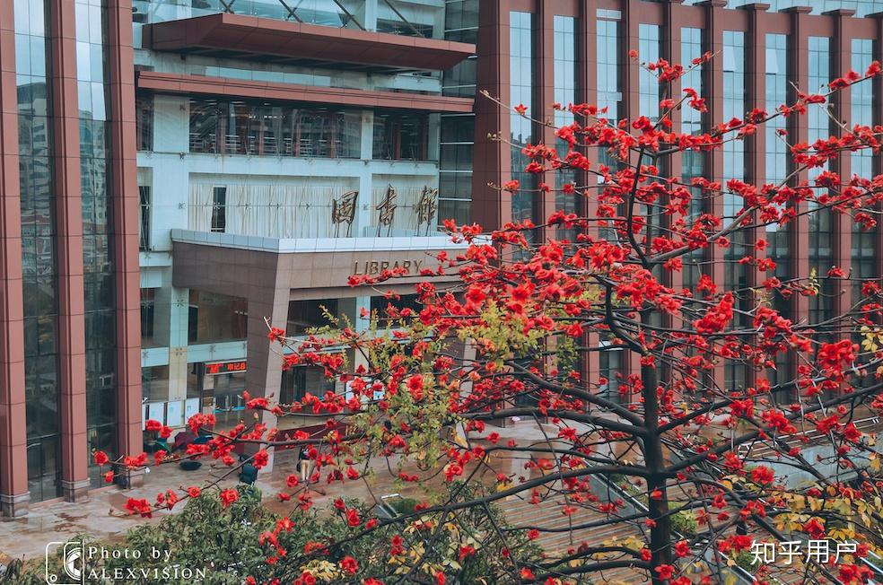 暨南大学的校园环境如何? - 知乎