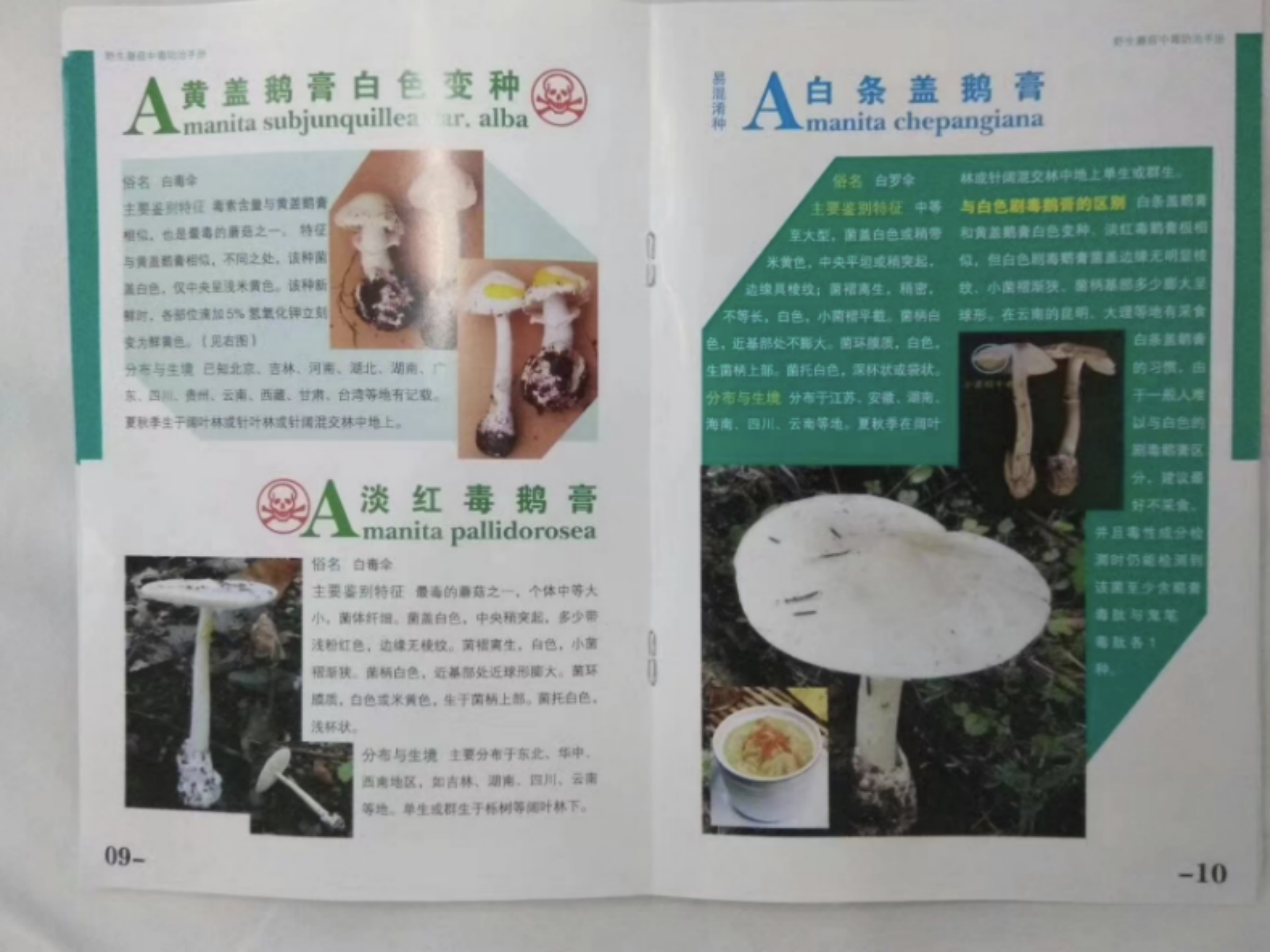 中国有哪些危险甚至致命的生物? - 知乎